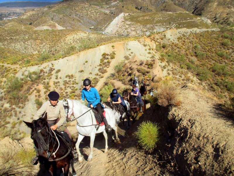 horse riding holidays andalusia