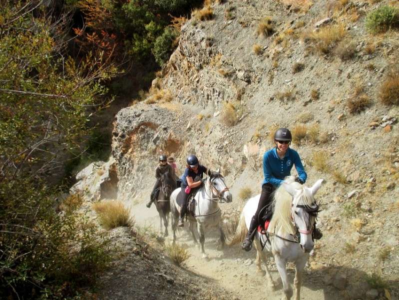 horse riding vacations andalusia