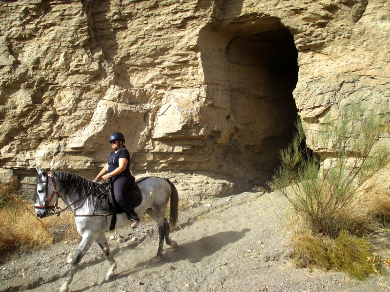 horseback trip andalusia