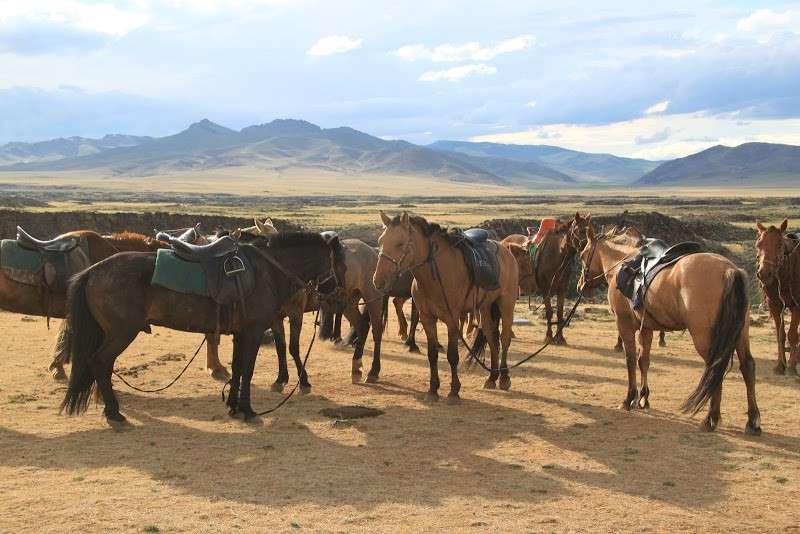equestrian trail ride in mongolia