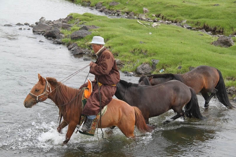 horseback trail ride in mongolia