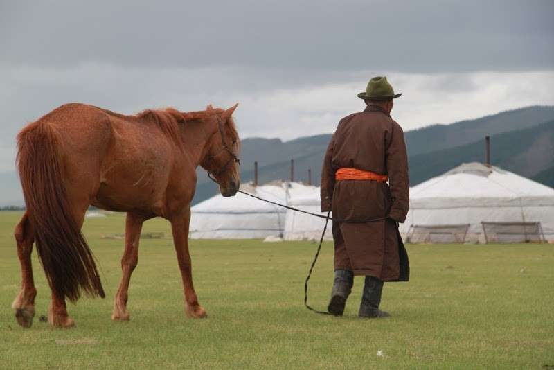 horseback trail ride in mongolia