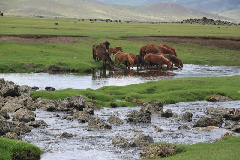 horseback trail ride in mongolia