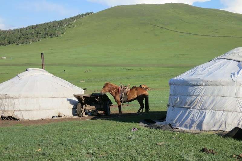 horseback trail riding in mongolia