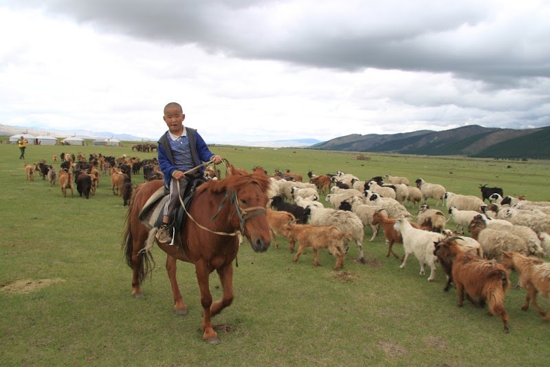 horseback trail ride in mongolia