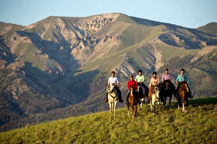 horse riding cattle work in a ranch usa