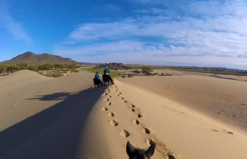 horseback riding trip in mongolia