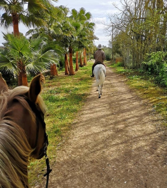 horseback vacation in spain