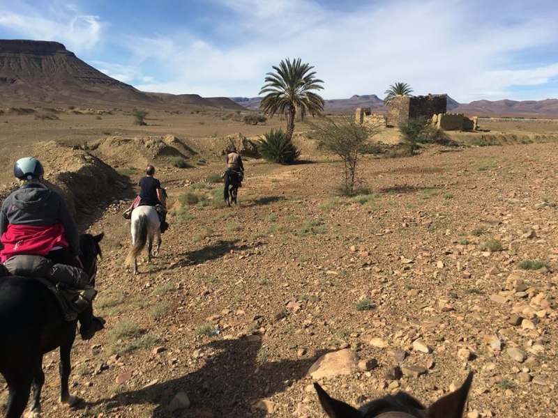 horse riding vacation in morocco