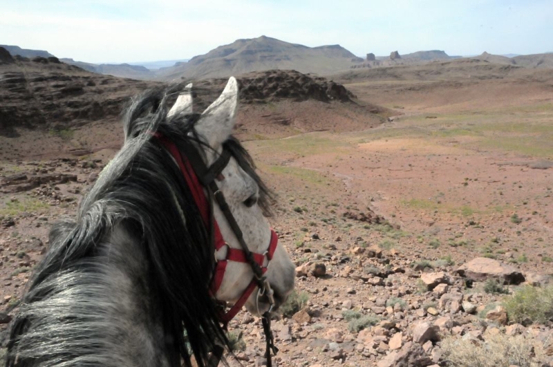 equestrian vacation in morocco