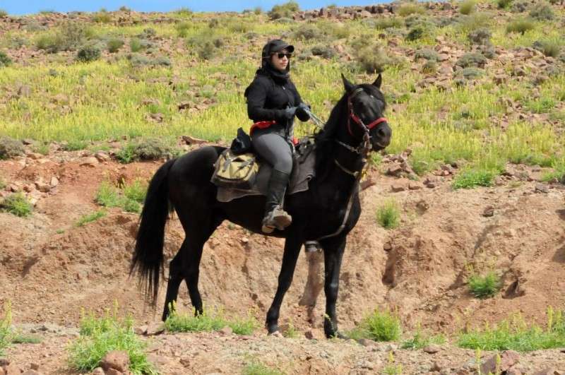 equestrian holiday in morocco