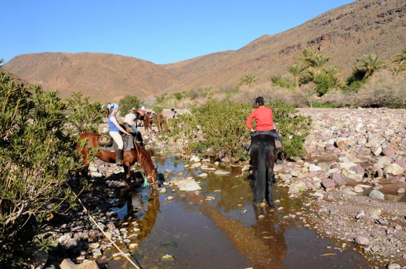 horse riding trip in morocco