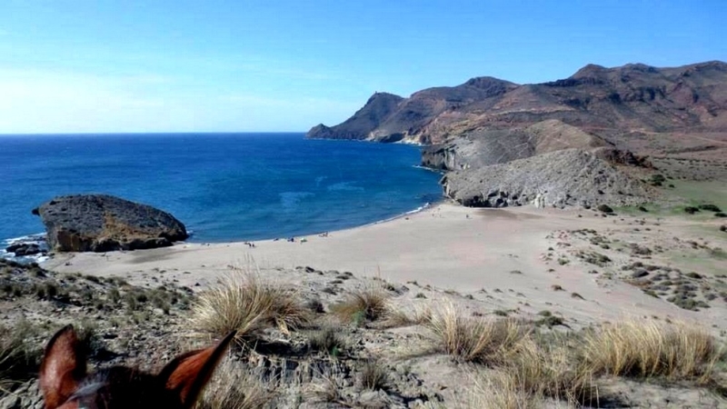 horse riding trip in andalusia