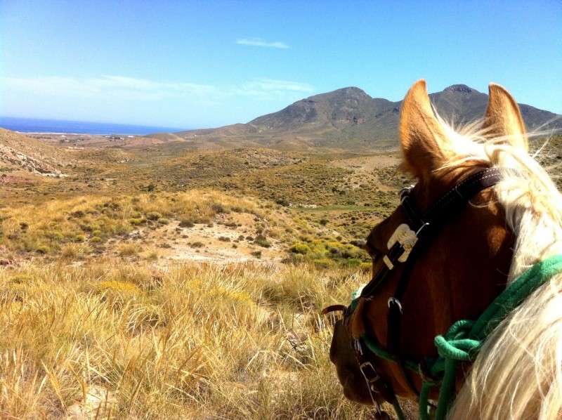horseback riding in andalusia