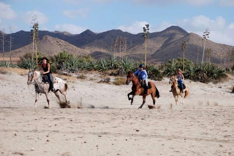 andalusia horse riding