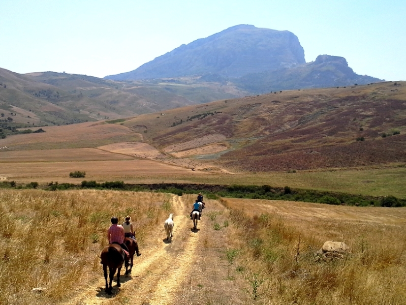 horse riding in sicily