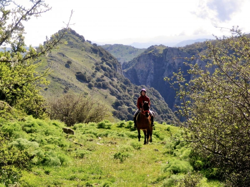 sicily horsback riding