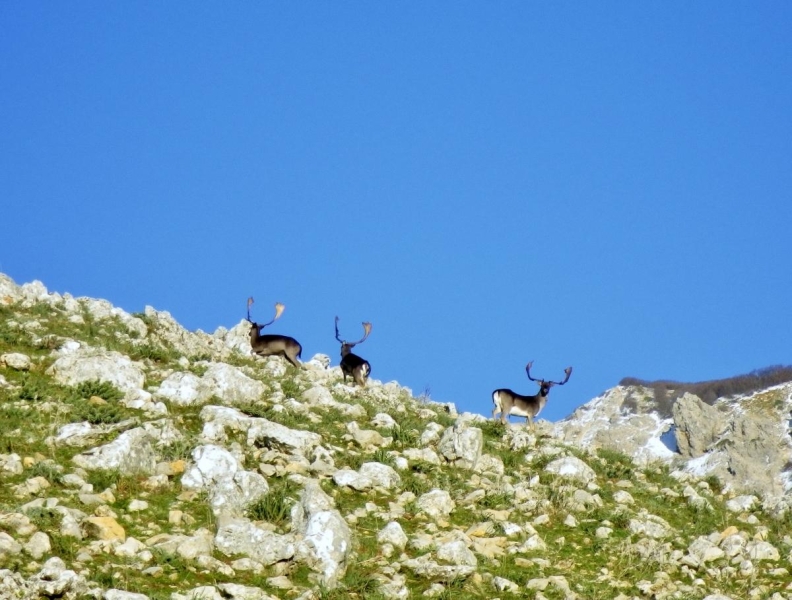 horseback trail ride in sicily