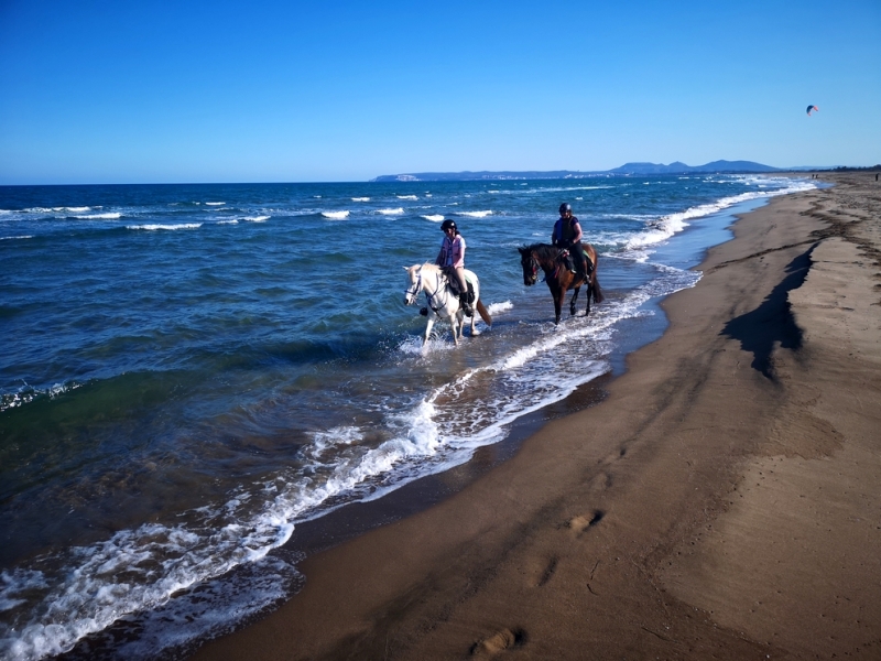 horseback riding in spain in catalonia