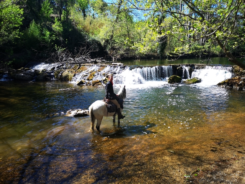 horseback trail ride in spain in catalonia