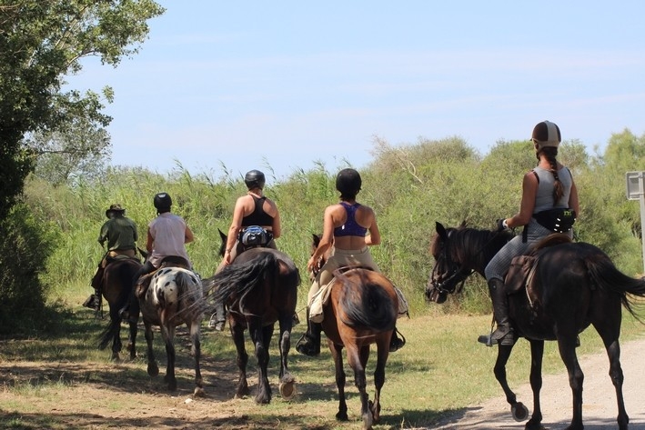 horse riding stay in Camargue