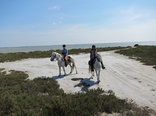 equestrian week end in camargue