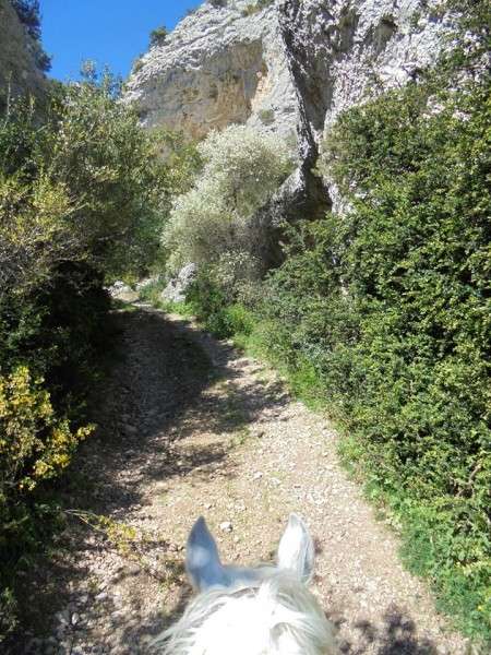 horse riding vacation in provence