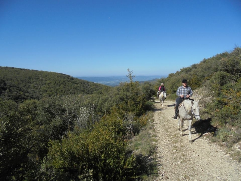 horse riding holiday in Provence