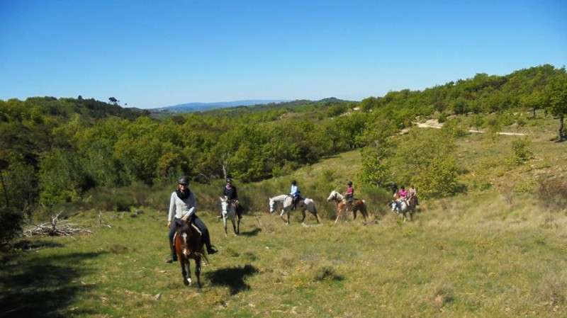 Provence horse riding