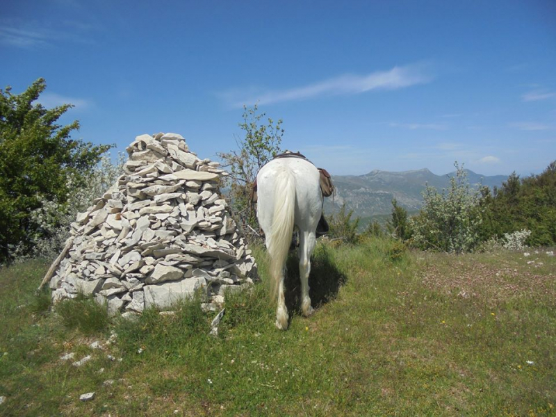 inn to inn horse riding trail ride in provence