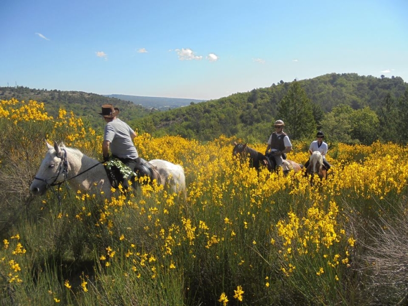 horseback riding trip in provence