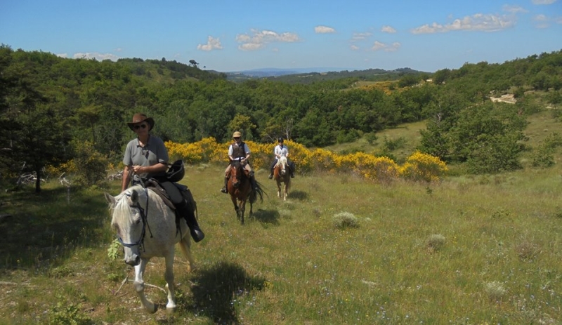 horseback vacation in provence