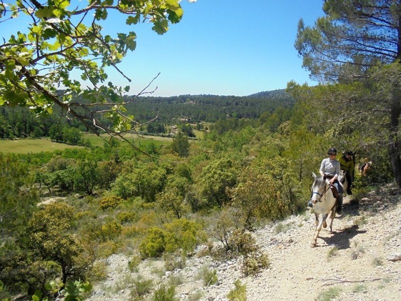 horseback riding holiday in provence