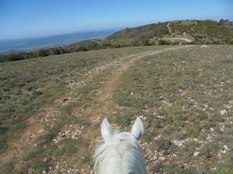 horseback riding trip in provence