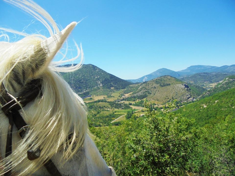 provence horse riding