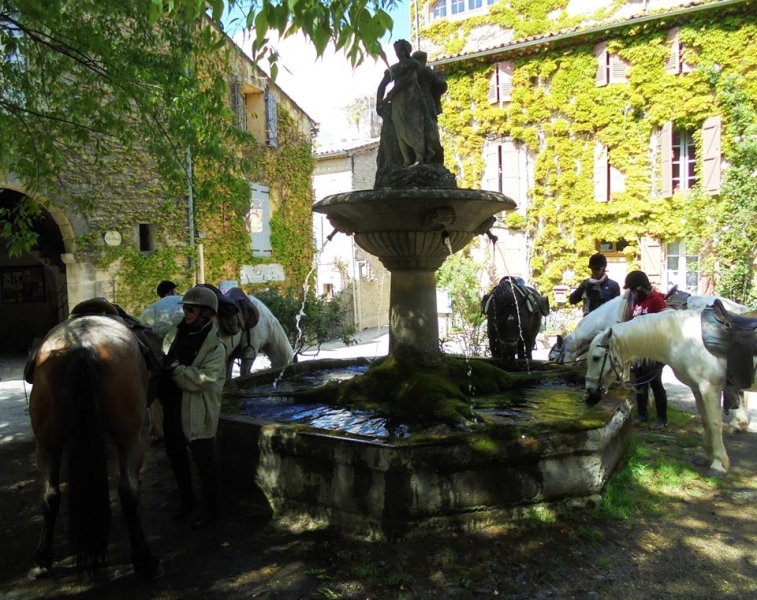 horseback riding trip in provence