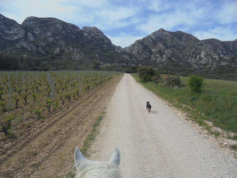 horseback ride in provence