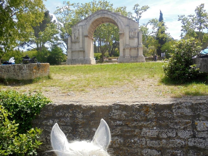 inn to inn horseback ride in provence