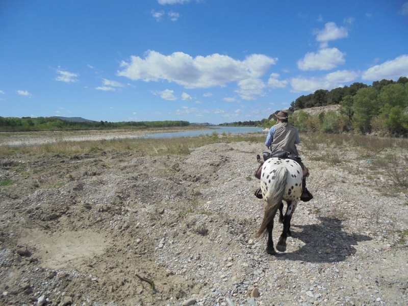 horseback riding in provence