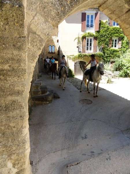 provence horseback trail ride