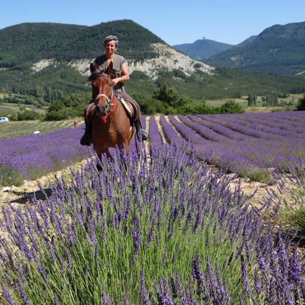 horse riding trip in provence
