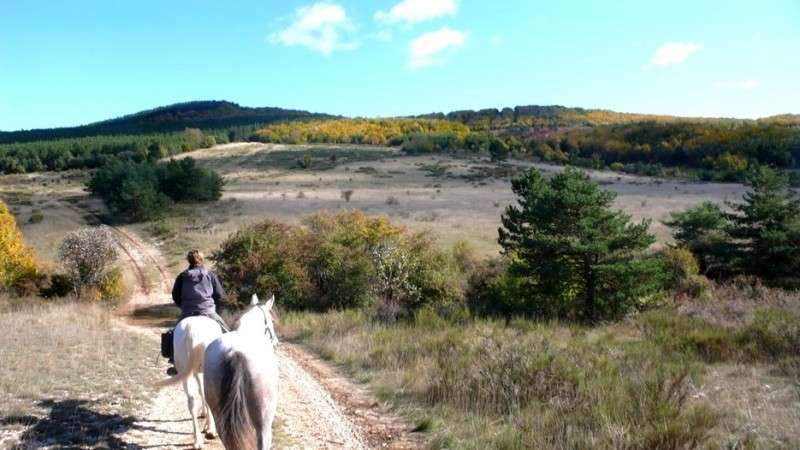 autumn Provence horse transhumance