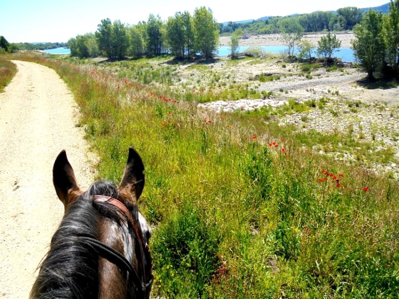 week horseback riding provence