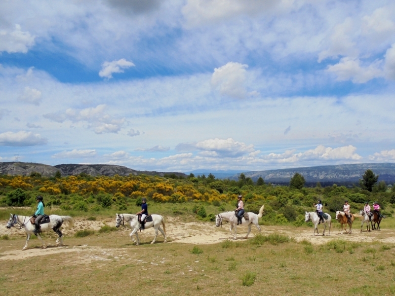 horseback riding in provence