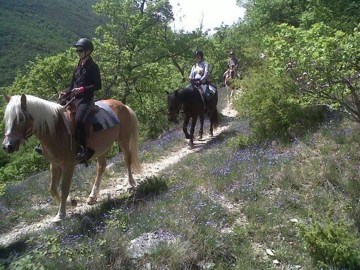 horse riding in provence