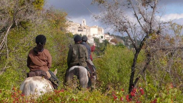 horseback riding in Provence