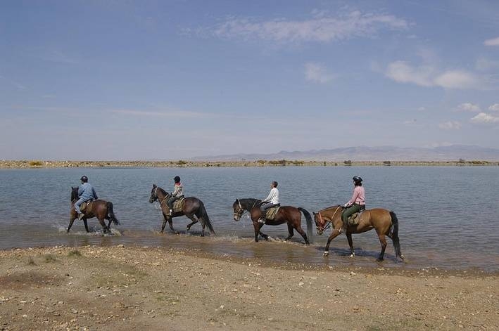 inn to inn horseback riding trip in andalusia