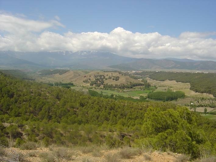 inn to inn horse riding trail ride in andalusia