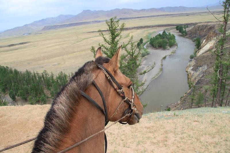 horseback riding in mongolia