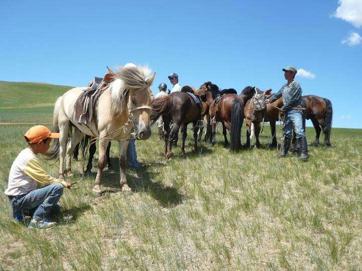 horseback riding trip in Mongolia